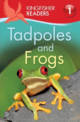 Kingfisher Readers: Tadpoles and Frogs (Level 1: Beginning to Read) book