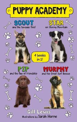 Puppy Academy Bindup Books 1-4: Scout and the Sausage Thief, Star on Stormy Mountain, Pip and the Paw of Friendship, Murphy and the Great Surf Rescue by Gill Lewis