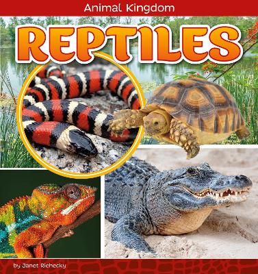 Reptiles book