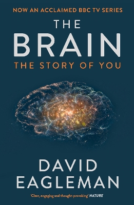 Brain book