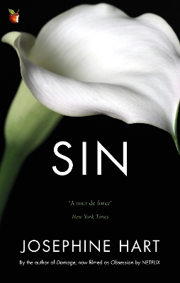 Sin: By the author of DAMAGE, inspiration for the Netflix series OBSESSION by Josephine Hart