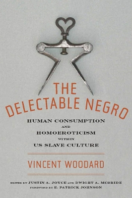 The Delectable Negro by Vincent Woodard