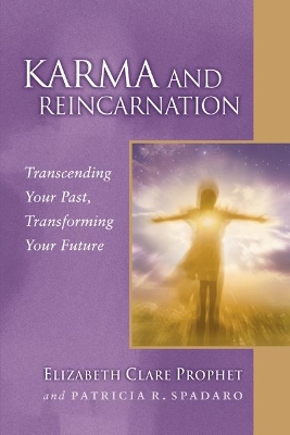 Karma and Reincarnation book