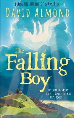 The Falling Boy book