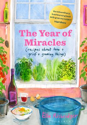 The Year of Miracles book