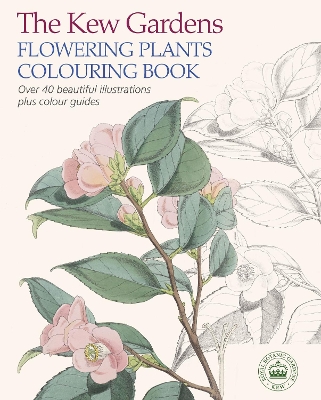 Kew Gardens Flowering Plants Colouring Book book