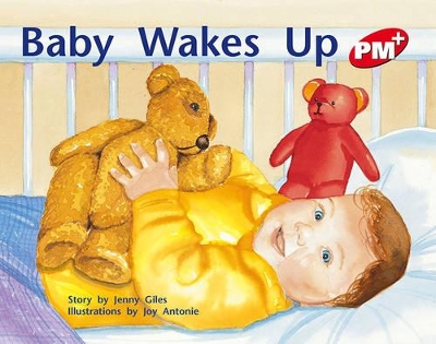 Baby Wakes Up book