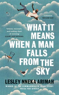 What It Means When A Man Falls From The Sky book