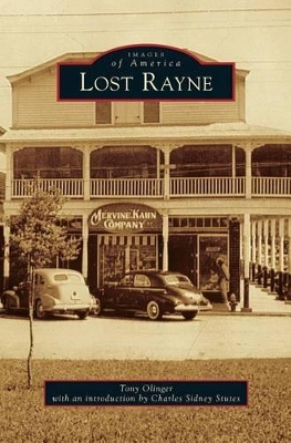 Lost Rayne book