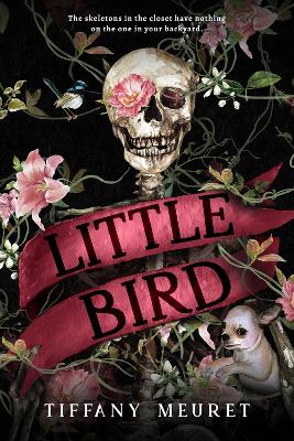 Little Bird book