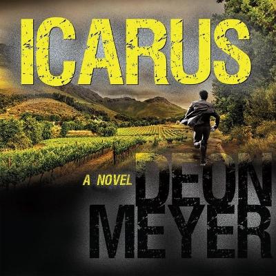 Icarus book