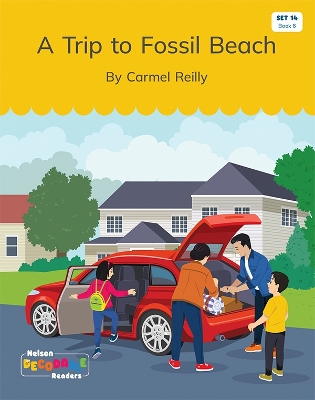 A Trip to Fossil Beach (Set 14, Book 6) book