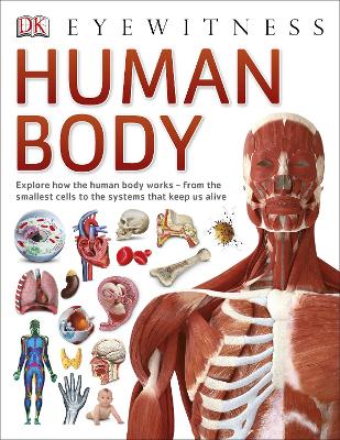 Human Body by DK