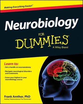 Neurobiology For Dummies by Frank Amthor