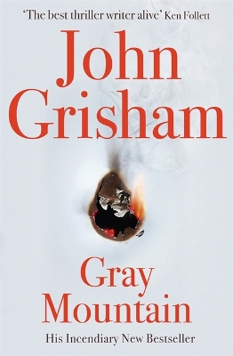 Gray Mountain book