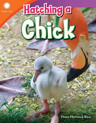 Hatching a Chick book