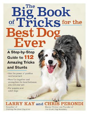 The Big Book of Tricks for the Best Dog Ever: A Step-by-Step Guide to 118 Amazing Tricks and Stunts book