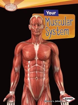 Your Muscular System book
