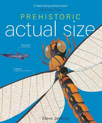 Prehistoric Actual Size book