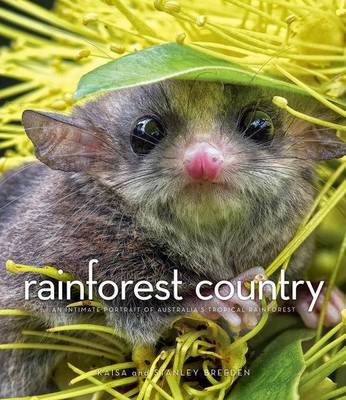 Rainforest Country by Stanley Breeden