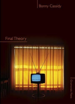 Final Theory book