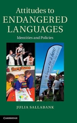 Attitudes to Endangered Languages book