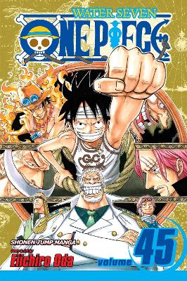 One Piece, Vol. 45 book