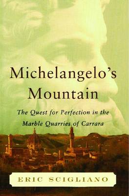 Michelangelo's Mountain book