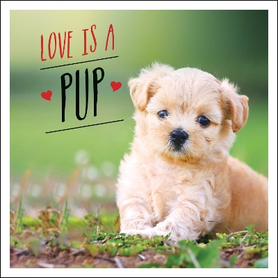 Love is a Pup: A Dog-Tastic Celebration of the World's Cutest Puppies book