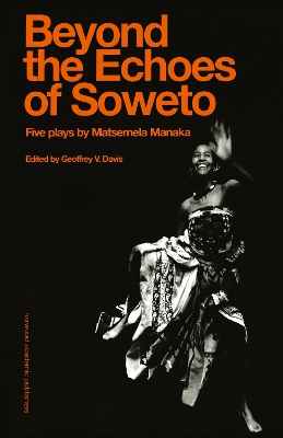 Beyound The Echoes Of Soweto book