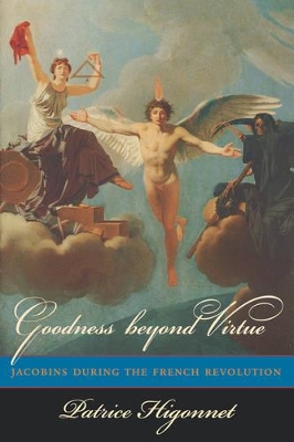 Goodness Beyond Virtue book