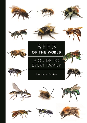 Bees of the World: A Guide to Every Family book