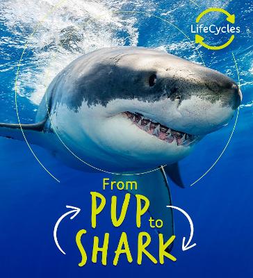Lifecycles - Pup To Shark by Camilla de la Bedoyere