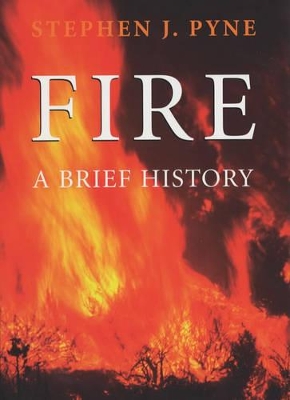 Fire on Earth: The Human History book