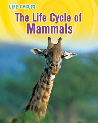 Life Cycle of Mammals book