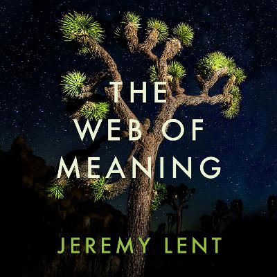 The Web of Meaning: Integrating Science and Traditional Wisdom to Find Our Place in the Universe book
