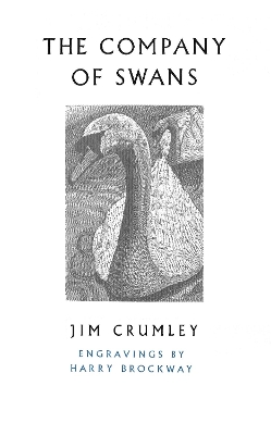 Company of Swans book
