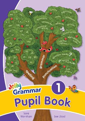 Grammar 1 Pupil Book book