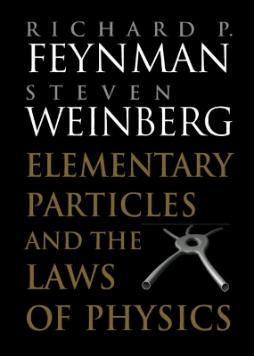 Elementary Particles and the Laws of Physics book