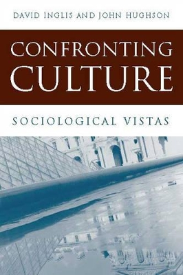 Confronting Culture book