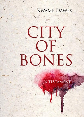 City of Bones book