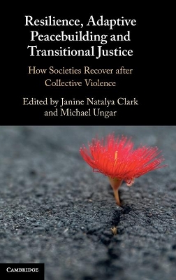 Resilience, Adaptive Peacebuilding and Transitional Justice: How Societies Recover after Collective Violence book