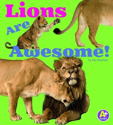 Lions Are Awesome! by Lisa J. Amstutz
