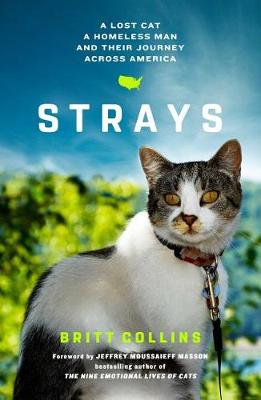 Strays by Britt Collins