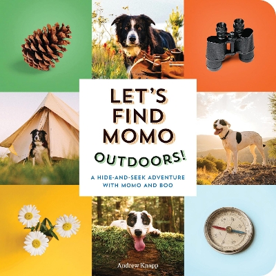 Let's Find Momo Outdoors!: A Hide and Seek Adventure with Momo and Boo book