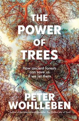 The Power of Trees: How Ancient Forests Can Save Us If We Let Them book