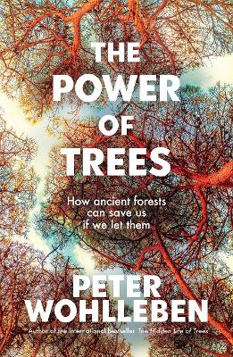 The Power of Trees: How Ancient Forests Can Save Us If We Let Them book