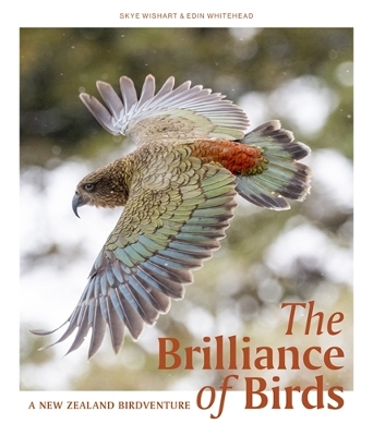 The Brilliance of Birds: A New Zealand Birdventure book