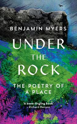 Under the Rock book