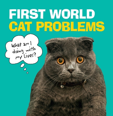 First World Cat Problems book
